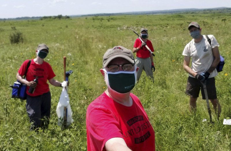 Scientists continue effort to restore American burying beetle